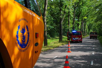 brand groene papegaai hoogerheide