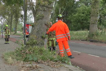 natuur vergierdeweg haarlem