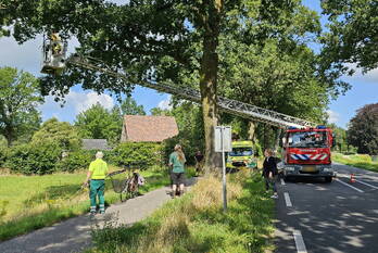 nieuws arnhemseweg - n224 renswoude