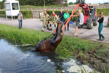 nieuws achterdijk hellevoetsluis