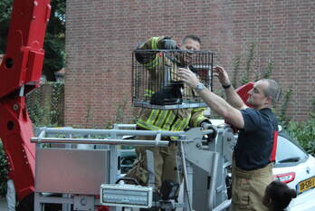 nieuws benedictusstraat tilburg