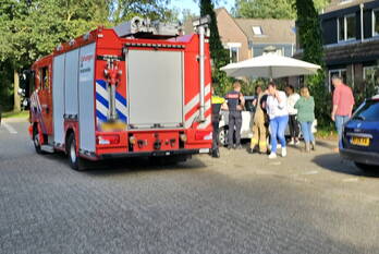 nieuws rijnhof ede
