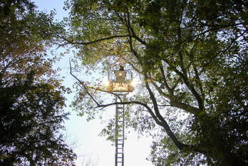 natuur prins hendrikweg noordwijk