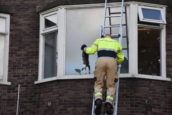 nieuws dirk huizingastraat groningen