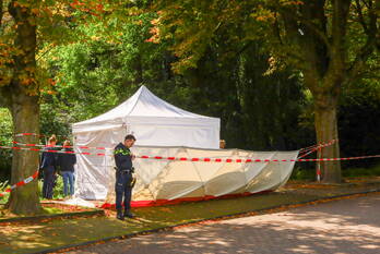 nieuws parklaan eindhoven