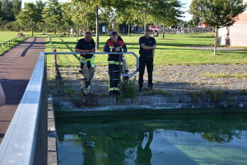 nieuws kaapse baan haren gn