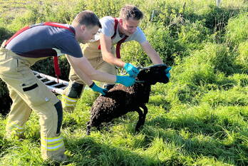 nieuws havenkade numansdorp