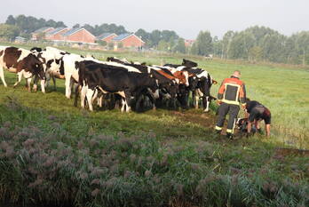 nieuws natalie barneykade groningen