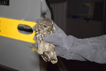 nieuws niels bohrstraat ede