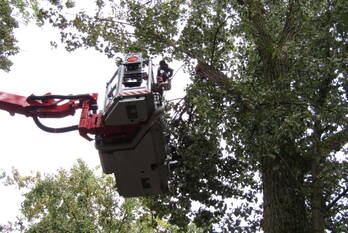 natuur loevesteinlaan arnhem