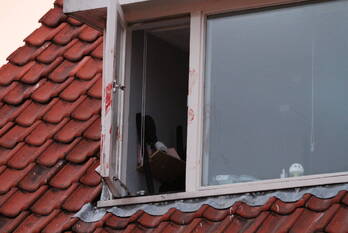 steekincident hanenpad zaandam