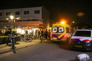 steekincident meerkreuk roelofarendsveen