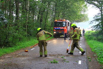 natuur wijffelterbroekdijk weert