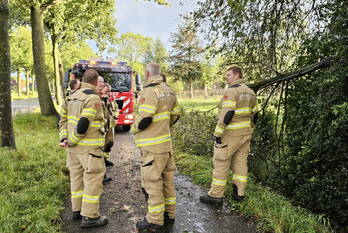 natuur lunterseweg ede