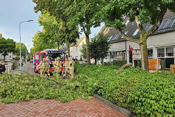 natuur martin luther kingstate ede