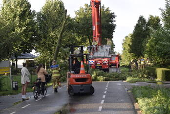 natuur meikade ederveen