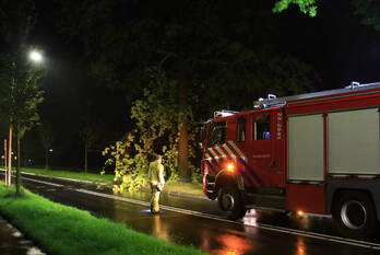 natuur santheuvel-west mierlo