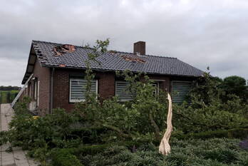 natuur grasdijk nederweert