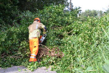 natuur brugweg waddinxveen