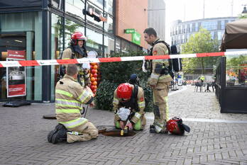 milieu de promesse lelystad