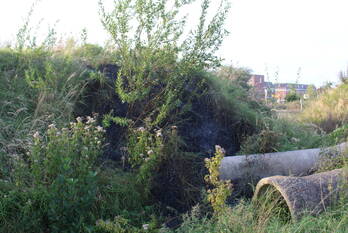 brand duinvalleipad katwijk