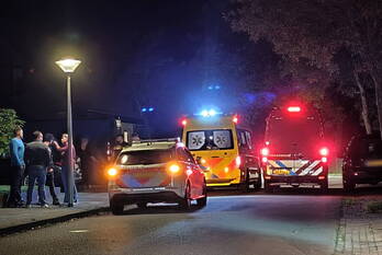 nieuws schierstins leeuwarden