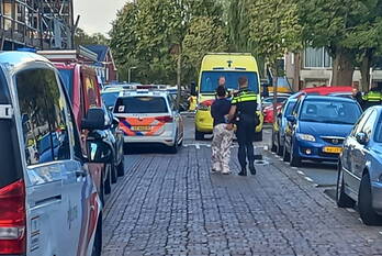 steekincident petronella van saxenstraat rijnsburg