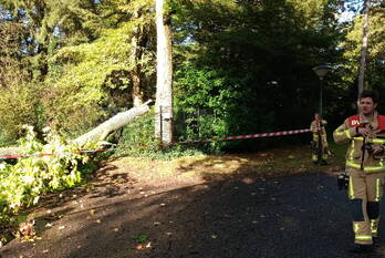 natuur villapark geldrop