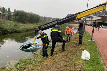 nieuws lavendel hardenberg