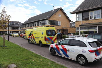 nieuws transformatorhof apeldoorn