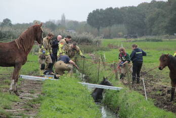 nieuws corsrijkseweg eemnes