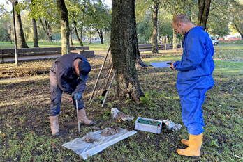 milieu tulastraat amsterdam