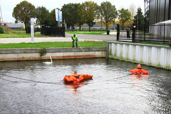 nieuws via raeka weert