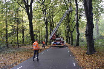 natuur autoweg rhenen