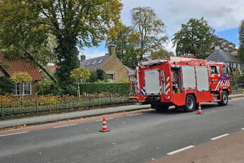 natuur dorpsstraat lunteren