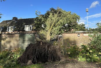 natuur koolhof de mortel