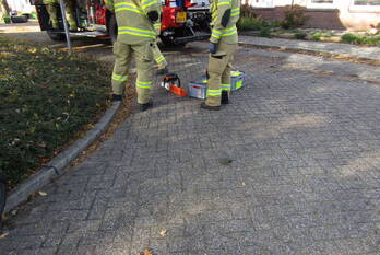 natuur nassaustraat velp