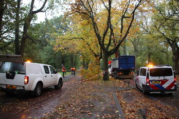natuur storm van 's-gravesandeweg wassenaar