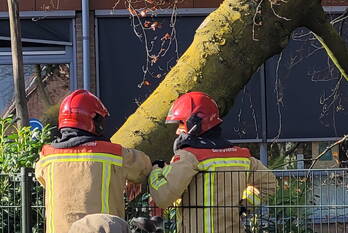 natuur linze geldrop