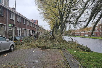 natuur westerkade gouda