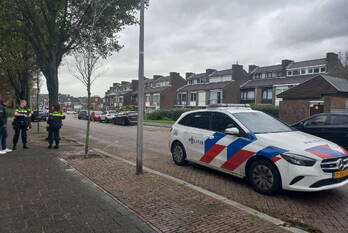 natuur schelpendam katwijk