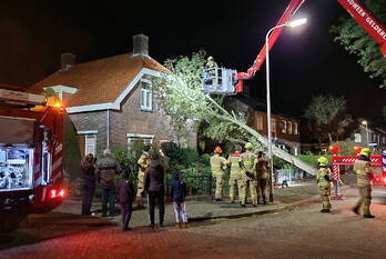 natuur acacialaan bennekom
