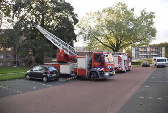 natuur david tenierslaan veenendaal