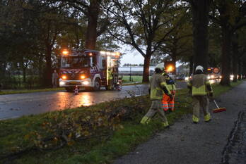 natuur arnhemseweg - n224 25,2 renswoude