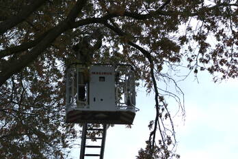 natuur patrimoniumlaan veenendaal