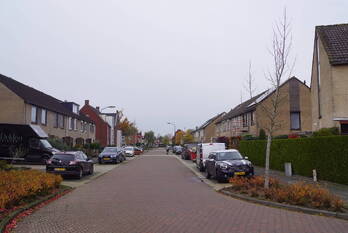 nieuws groen van prinsterersingel bunschoten-spakenburg