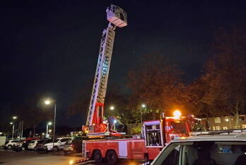 nieuws molenaar oud-beijerland