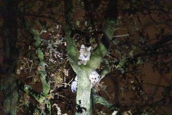 nieuws museumlaan huizen