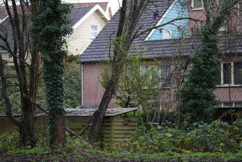 natuur albert joachimikade goes