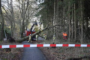 natuur zonneoordlaan ede